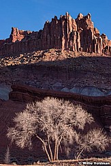 Capitol Reef Castle 031514 0320