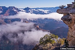 Grand Canyon 013115 7010
