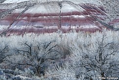 Capitol Reef Badlands 031020 3909