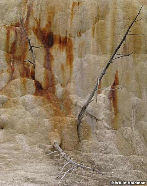 Yellowstoneminerals0008
