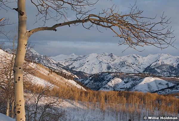 wasatch020210 0159