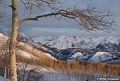 wasatch020210 0159