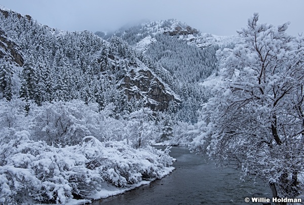 Provo River Snowfall 022217 6164