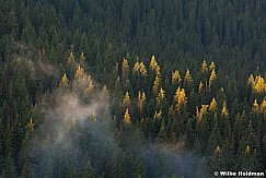 Highlightpines061611 407