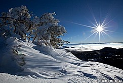 winterdriftsun012011 788