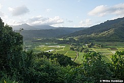 Green Fields Kauai Pano 101621 5340