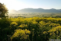 cachevalley061308 23523