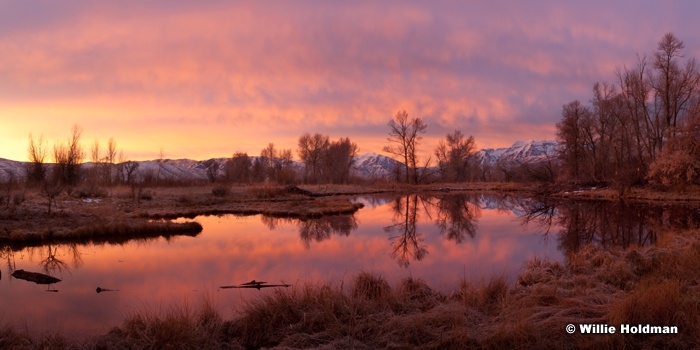 provorivermarshsunrise