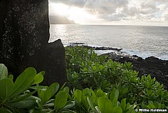 Kauai Rocky Beach 101421 4524