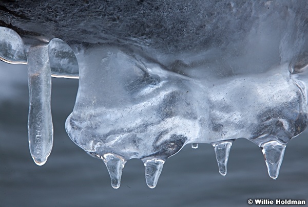 Drips of Ice 121212 166 166