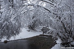 Winter Stream 122115 6059 2