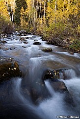 Big Cottonwood Stream 100312 303