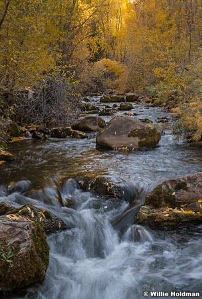 Sheep Creek Stream 101020 5975 5