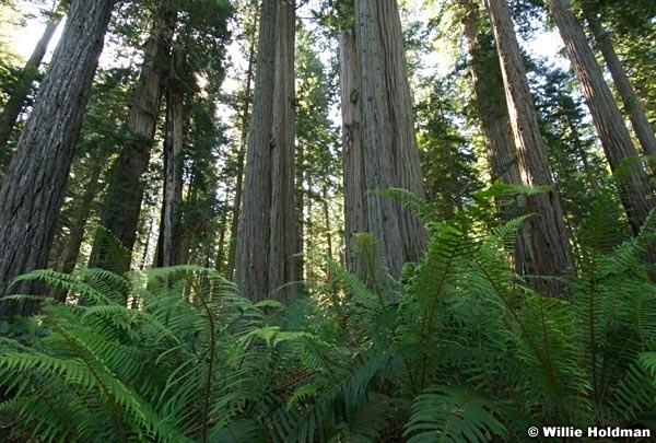 hwy1061807 698