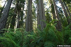hwy1061807 698
