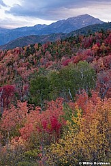 Red Maples Cascade 092919 3731 4