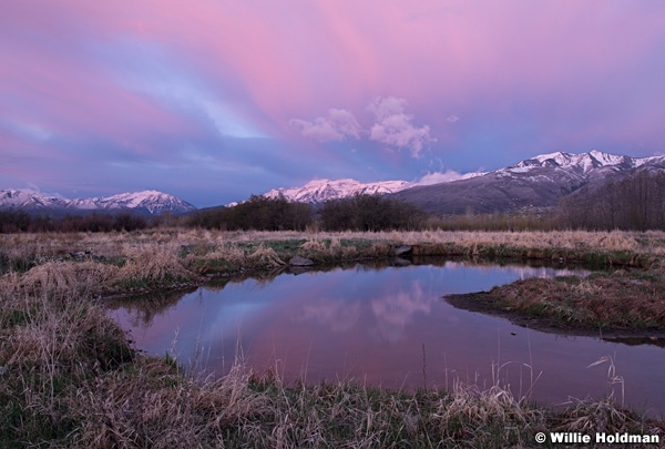 Pink Pond Midway 042214 5553