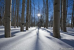 Aspensun012011 861