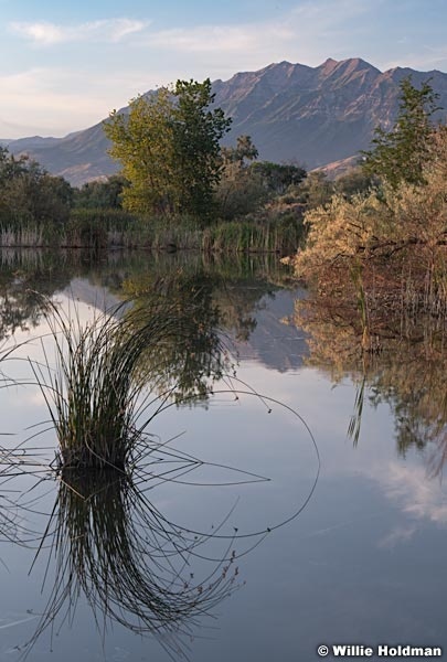 Timpanogos Reflection Pond 082119 3739 2