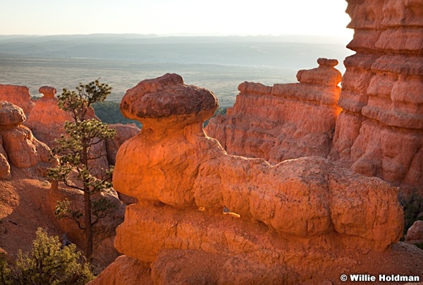 Red Canyon Glow 091512 1162