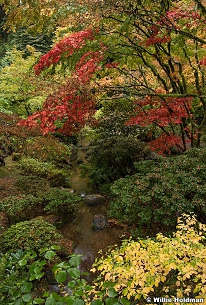 Japanese Garden 102716 7431