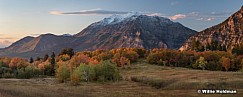 Autumn Colors Timp 100117 7131