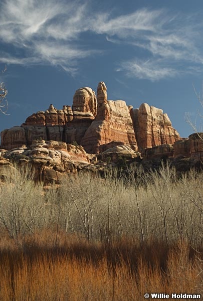 Saltcreekcanyonlands032109 14272