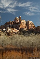 Saltcreekcanyonlands032109 14272