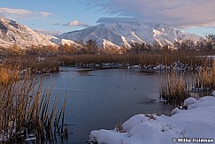 Maple Mountains Pond 120318 9054 4