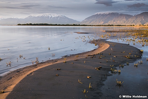 Utah Lake Beach 051616 2 12