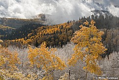 After The Storm Aspens Pano 100921 1734