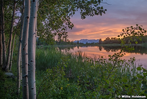 Sunset Summer Pond 062923 5888f