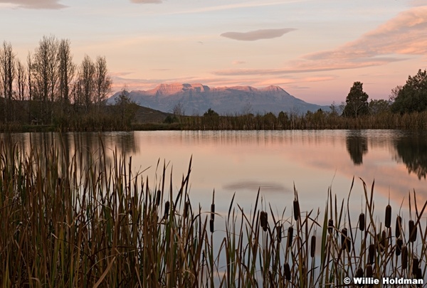 Golden Pond Timpanogos 100718 5235 3