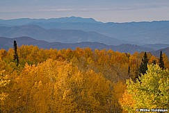 Orange Aspen Layers Autumn 100121 7385