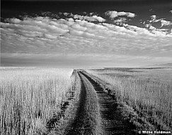 269000001018BW