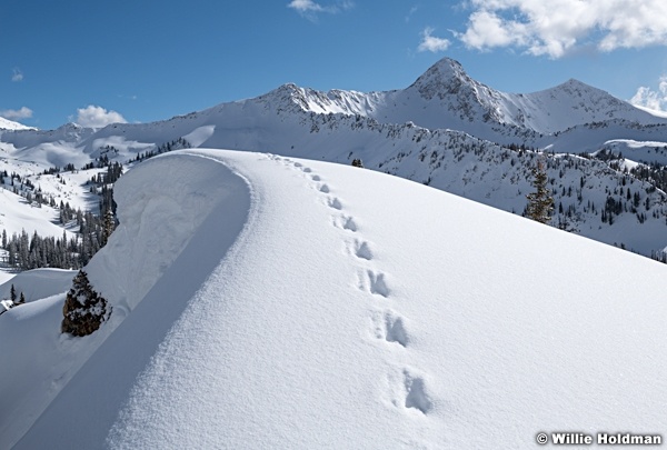 Pheifferhorn Tracks 030220 0411 2