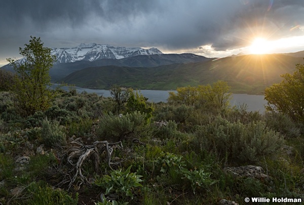 Sunburst Deer Creek 051324 9760