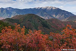 Orange Maples Cascade 091012 472