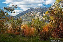 Soft Autumn Timp 092922 8994