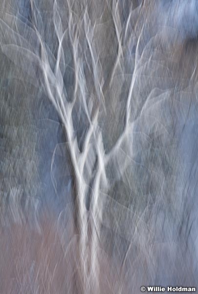 Abstractimpressionism 36