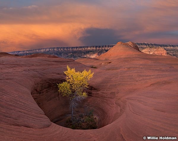 Cottonwoodwaterholesunrise102111
