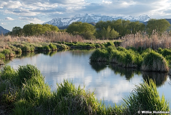 Timpanogos Spring Greens Stream 051021 7120 2