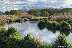 Timpanogos Spring Greens Stream 051021 7120 2