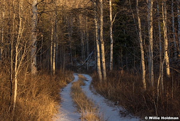 Aspen Grove Road 111816 5