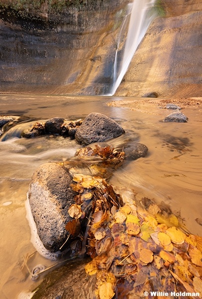 Calf Creek Falls Autumn Leaves 110225 2886 4