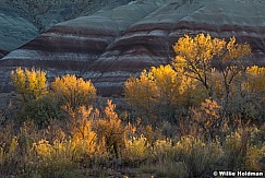 Awakinging Badlands 102021 0657 2