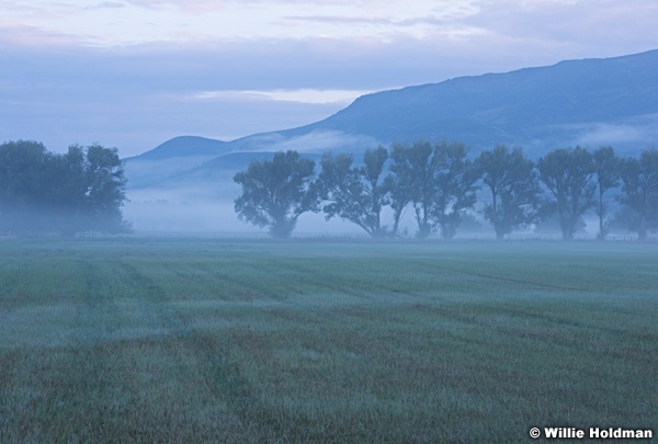 Timpanogos Heber Fog 091513 2192