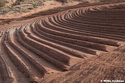 Sandstone swirls Kanab 052625 8932