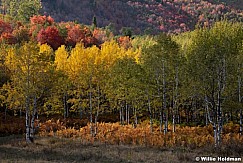 Autumn Colors 092912 2081