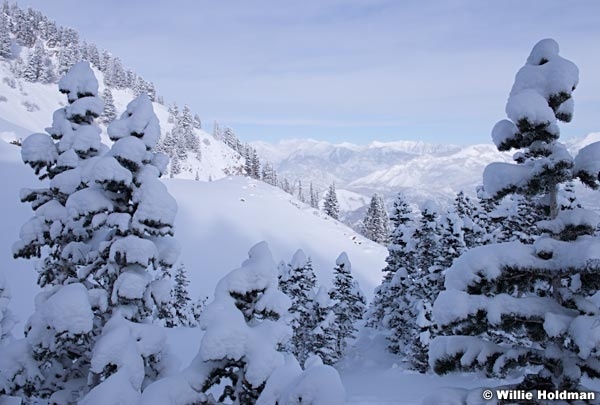 Timpanogos Winter Pines 123015 1805 3